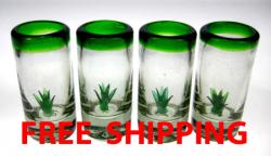 Shot glasses Mexican cactus agave saguaro prickly pear